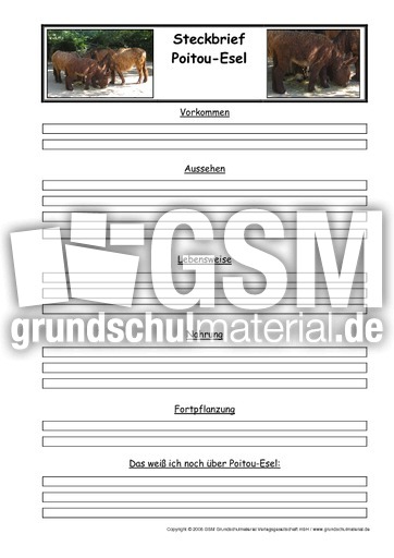 Steckbriefvorlage-Poitou-Esel.pdf